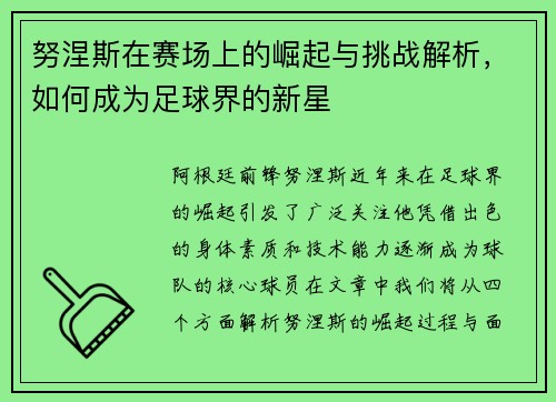努涅斯在赛场上的崛起与挑战解析，如何成为足球界的新星